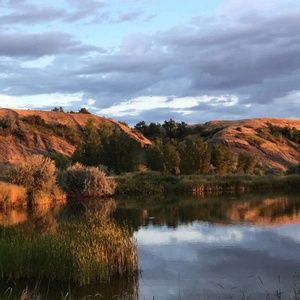 Meet your Posher, Thomas